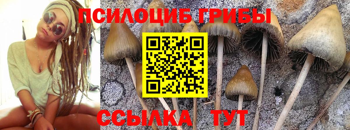 Галлюциногенные грибы ЛСД Сухой Лог